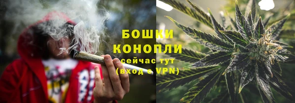 стафф Майский