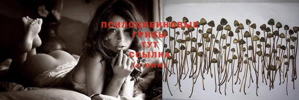 кокс Магас