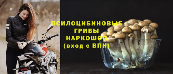 стафф Майский
