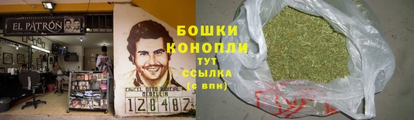 стафф Майский
