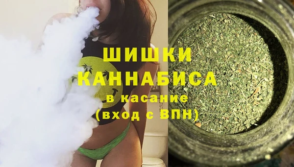 стафф Майский