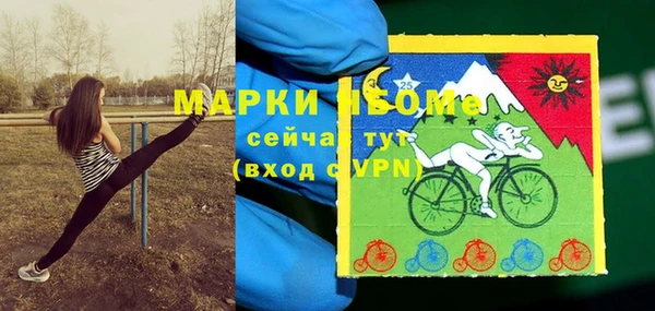 стафф Майский