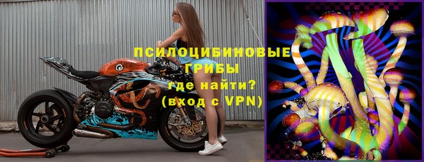 стафф Майский