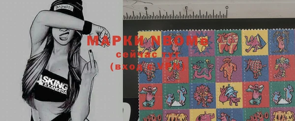 кокс Магас