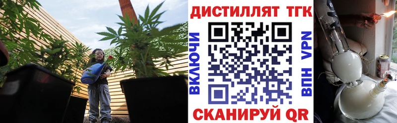 Дистиллят ТГК THC oil  Купить закладки  Пролетарск 